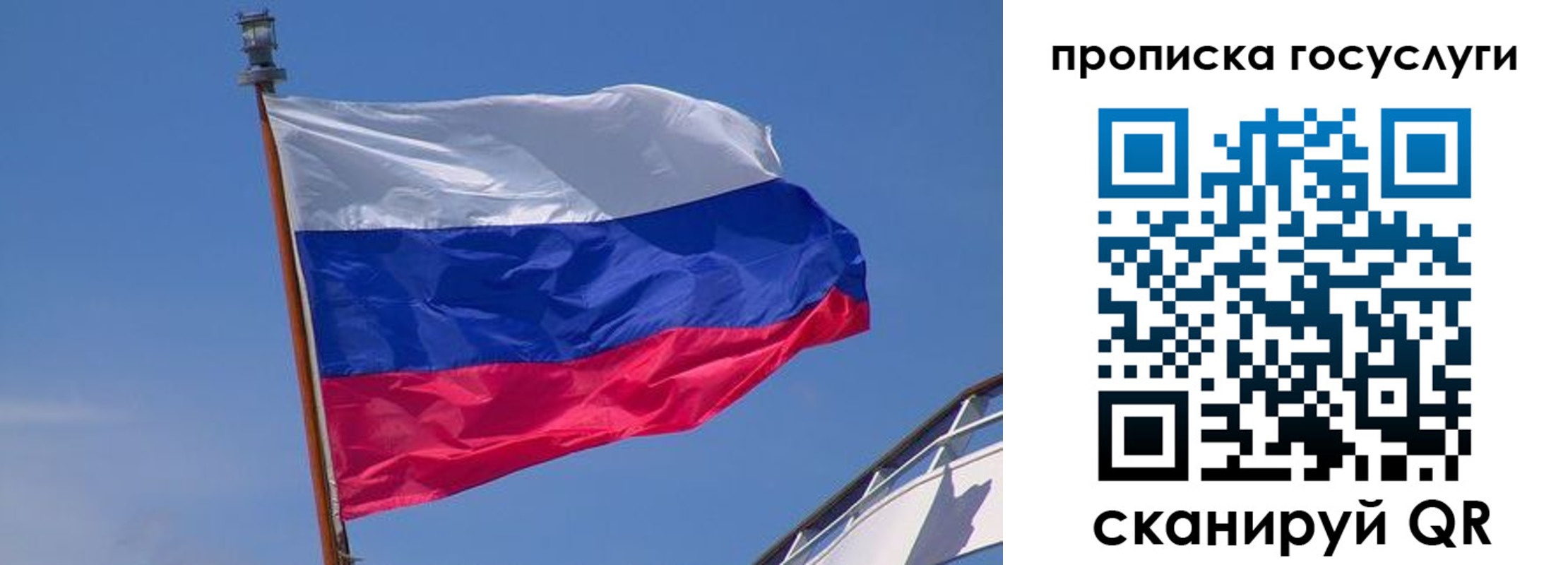 временная регистрация купить в Липецкая области